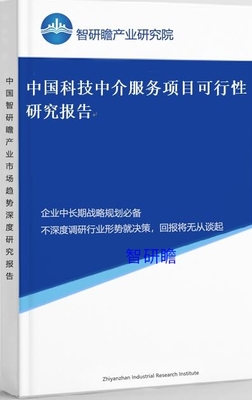 中国科技中介服务项目可行性研究报告